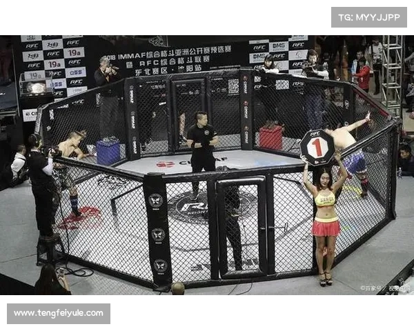 震撼UFC赛场精彩瞬间集锦，顶级格斗技与绝美KO挑战极限